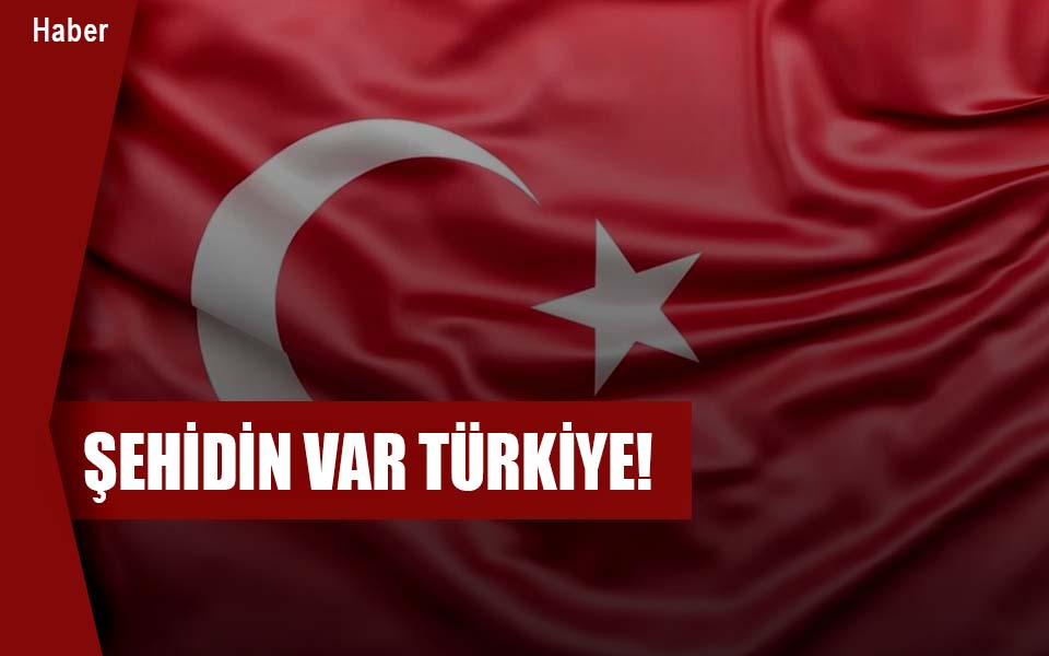 ŞEHİDİN VAR TÜRKİYE!